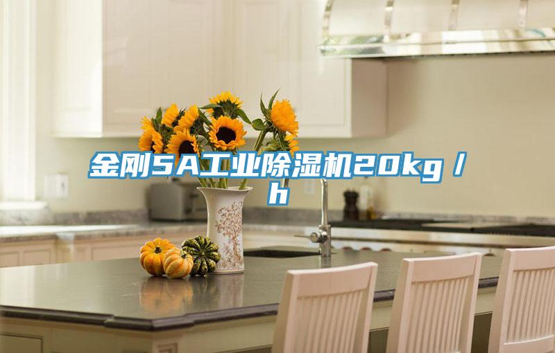 金剛5A工業杏仁视频APP成人官方污20kg／h