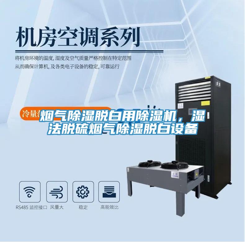 煙氣除濕脫白用杏仁视频APP成人官方污，濕法脫硫煙氣除濕脫白設備