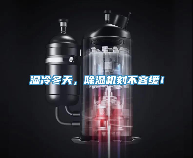 濕冷冬天，杏仁视频APP成人官方污刻不容緩！