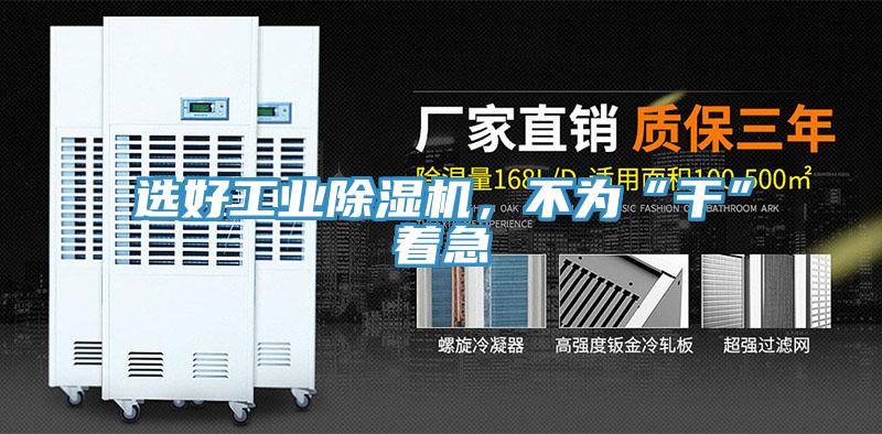 選好工業杏仁视频APP成人官方污，不為“幹”著急