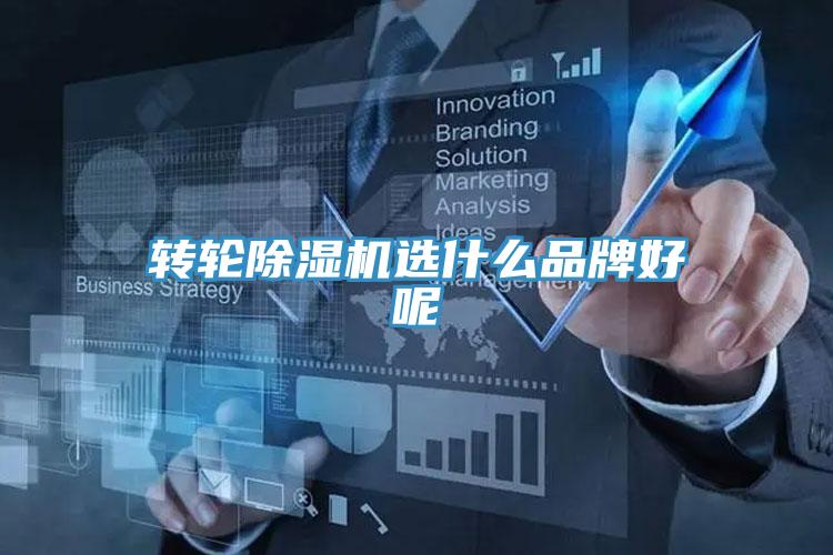 轉輪杏仁视频APP成人官方污選什麽品牌好呢