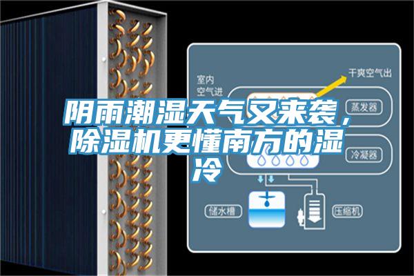 陰雨潮濕天氣又來襲，杏仁视频APP成人官方污更懂南方的濕冷