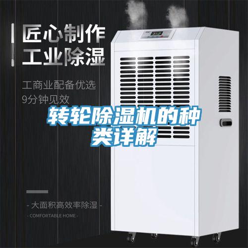 轉輪杏仁视频APP成人官方污的種類詳解