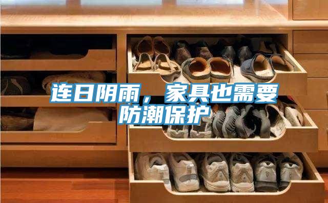 連日陰雨，家具也需要防潮保護