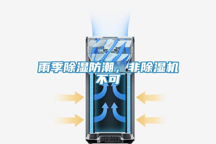 雨季除濕防潮，非杏仁视频APP成人官方污不可