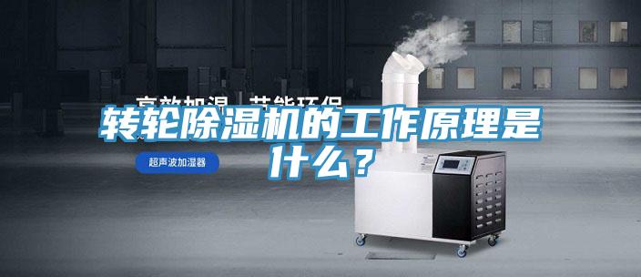 轉輪杏仁视频APP成人官方污的工作原理是什麽？