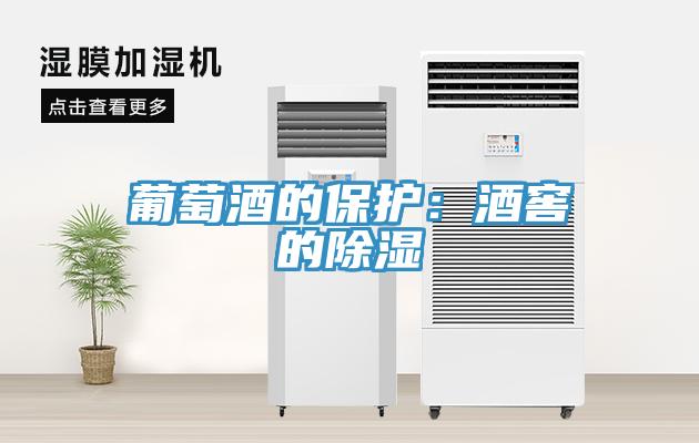 葡萄酒的保護：酒窖的除濕
