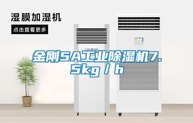 金剛5A工業杏仁视频APP成人官方污7.5kg／h