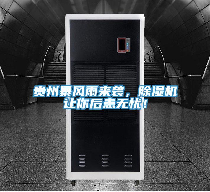 貴州暴風雨來襲，杏仁视频APP成人官方污讓你後患無憂！