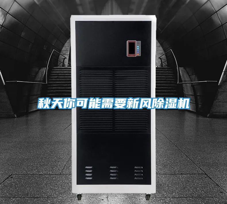 秋天你可能需要新風杏仁视频APP成人官方污