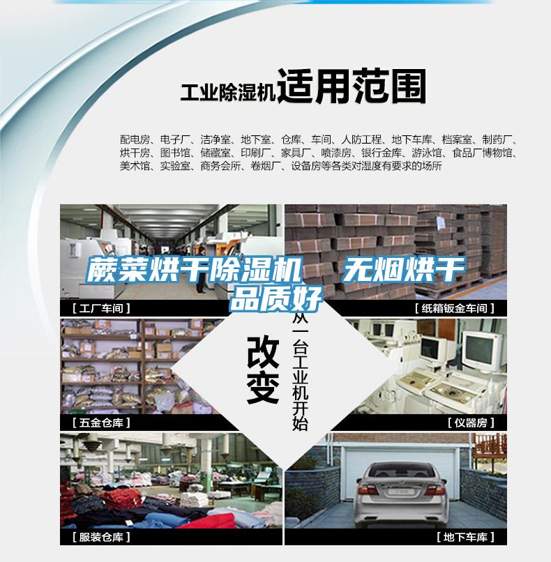 蕨菜烘幹杏仁视频APP成人官方污  無煙烘幹品質好