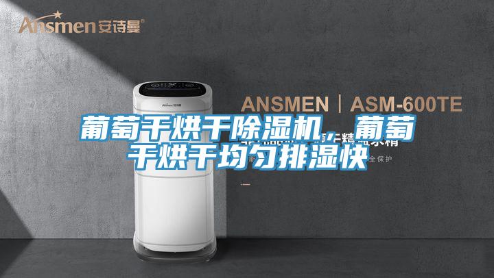 葡萄幹烘幹杏仁视频APP成人官方污，葡萄幹烘幹均勻排濕快