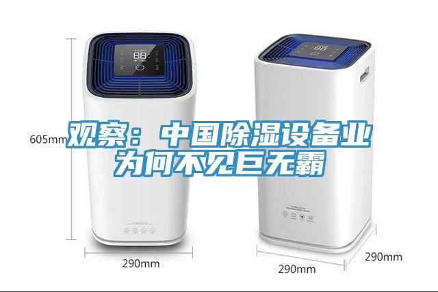 觀察：中國除濕設備業為何不見巨無霸