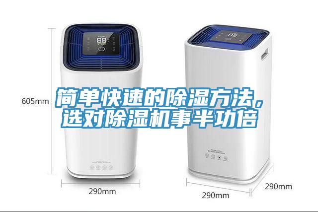 簡單快速的除濕方法，選對杏仁视频APP成人官方污事半功倍