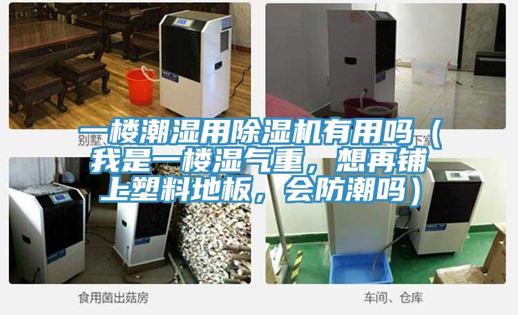 一樓潮濕用杏仁视频APP成人官方污有用嗎（我是一樓濕氣重，想再鋪上塑料地板，會防潮嗎）