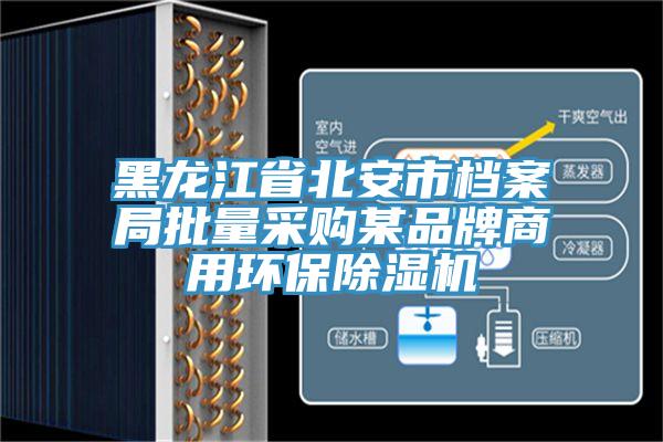黑龍江省北安市檔案局批量采購某品牌商用環保杏仁视频APP成人官方污