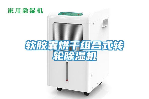 軟膠囊烘幹組合式轉輪杏仁视频APP成人官方污