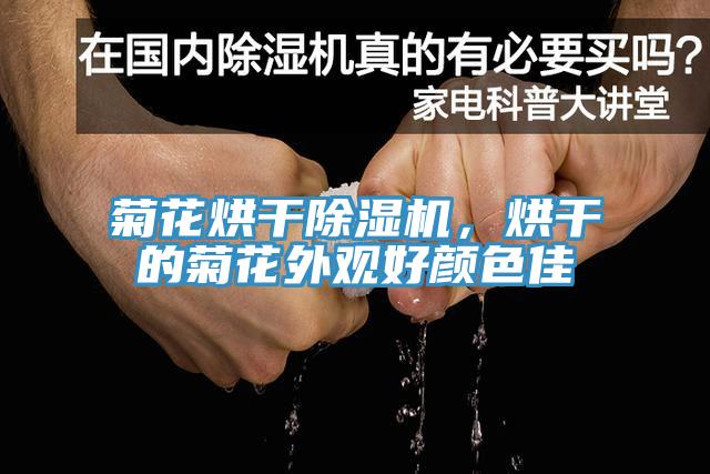 菊花烘幹杏仁视频APP成人官方污，烘幹的菊花外觀好顏色佳
