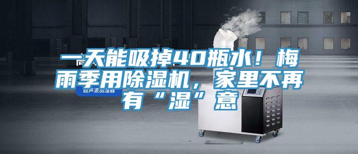 一天能吸掉40瓶水！梅雨季用杏仁视频APP成人官方污，家裏不再有“濕”意