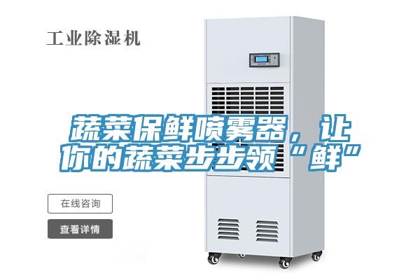 蔬菜保鮮噴霧器，讓你的蔬菜步步領“鮮”