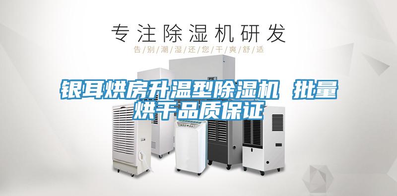 銀耳烘房升溫型杏仁视频APP成人官方污 批量烘幹品質保證