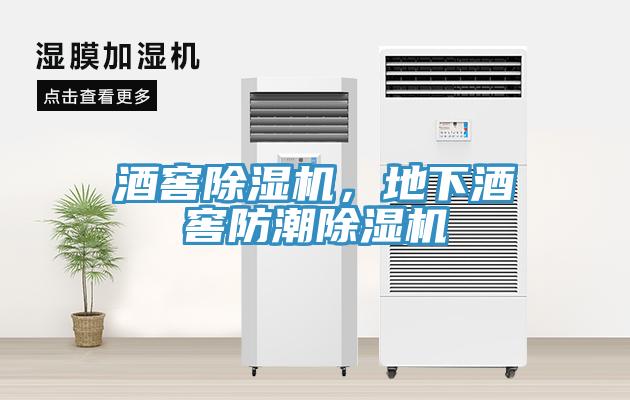 酒窖杏仁视频APP成人官方污，地下酒窖防潮杏仁视频APP成人官方污