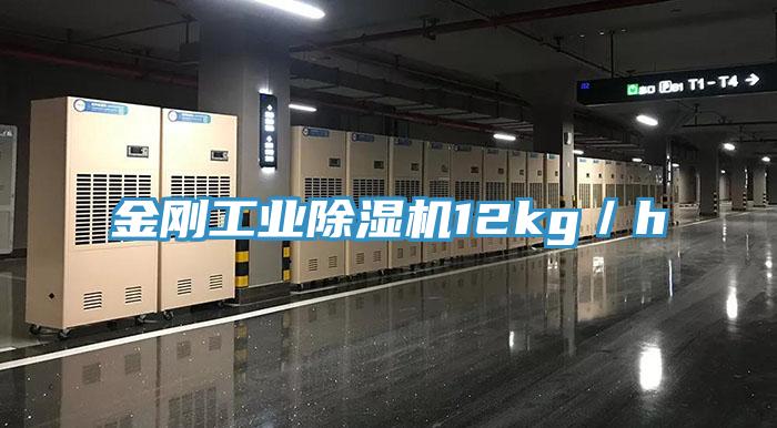 金剛工業杏仁视频APP成人官方污12kg／h