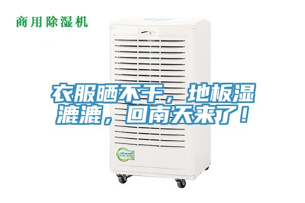 衣服曬不幹，地板濕漉漉，回南天來了！