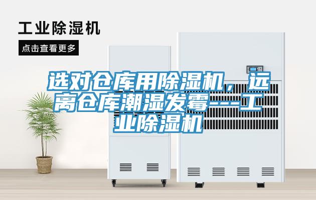 選對倉庫用杏仁视频APP成人官方污，遠離倉庫潮濕發黴---工業杏仁视频APP成人官方污