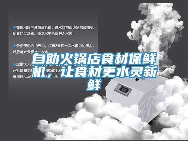自助火鍋店食材保鮮機，讓食材更水靈新鮮