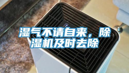 濕氣不請自來，杏仁视频APP成人官方污及時去除