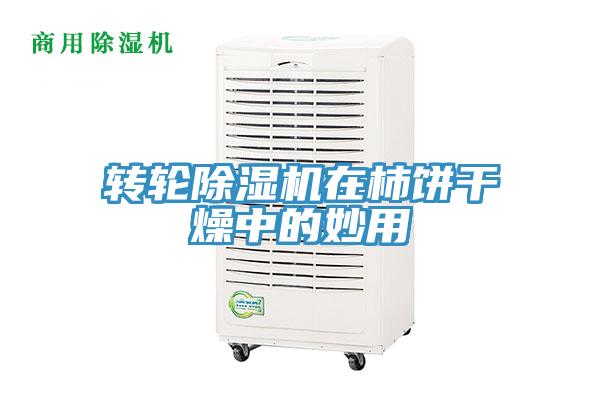 轉輪杏仁视频APP成人官方污在柿餅幹燥中的妙用