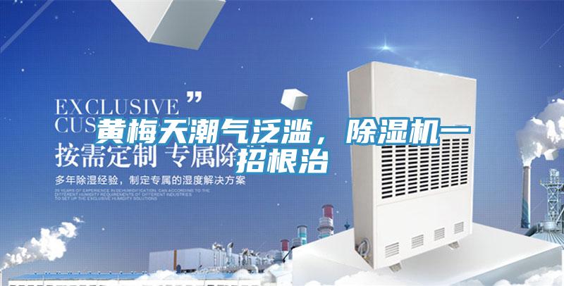 黃梅天潮氣泛濫，杏仁视频APP成人官方污一招根治
