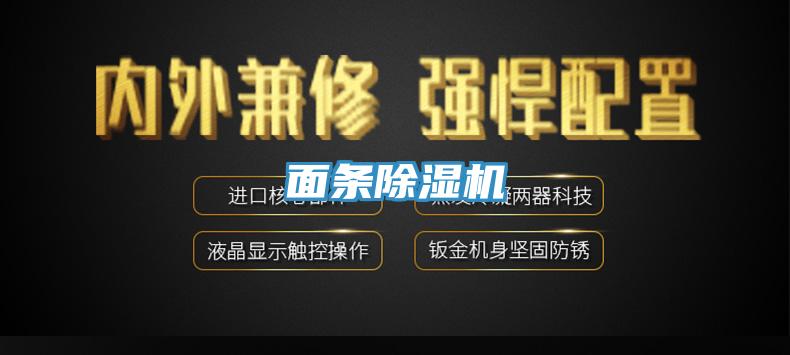 麵條杏仁视频APP成人官方污