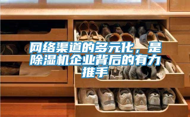 網絡渠道的多元化，是杏仁视频APP成人官方污企業背後的有力推手