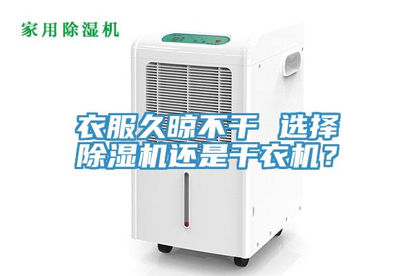 衣服久晾不幹 選擇杏仁视频APP成人官方污還是幹衣機？