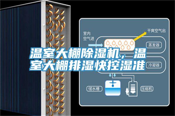 溫室大棚杏仁视频APP成人官方污，溫室大棚排濕快控濕準