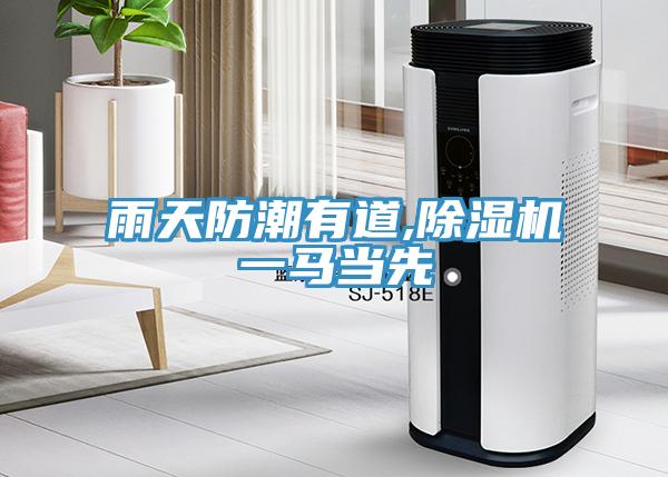 雨天防潮有道,杏仁视频APP成人官方污一馬當先