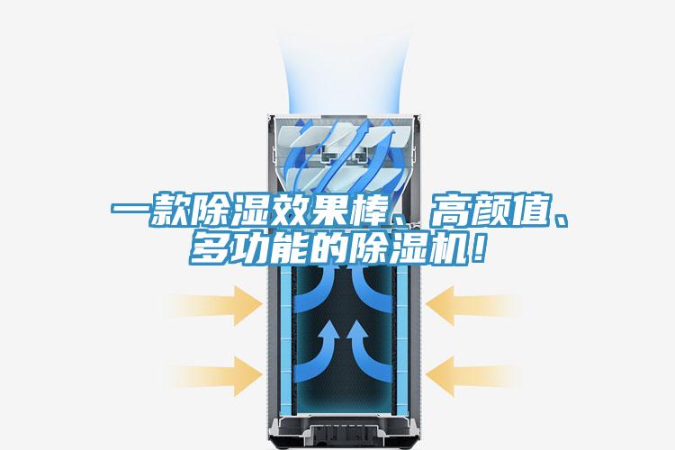 一款除濕效果棒、高顏值、多功能的杏仁视频APP成人官方污！