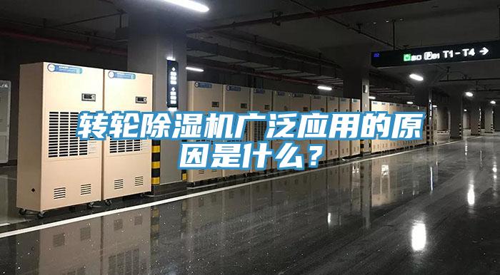 轉輪杏仁视频APP成人官方污廣泛應用的原因是什麽？