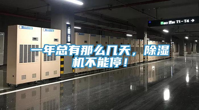 一年總有那麽幾天，杏仁视频APP成人官方污不能停！