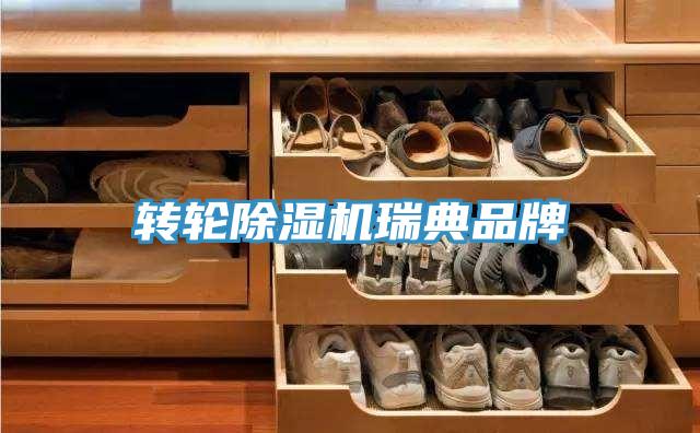 轉輪杏仁视频APP成人官方污瑞典品牌