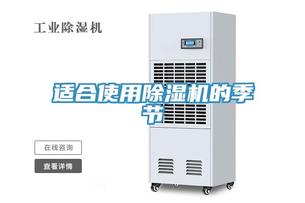適合使用杏仁视频APP成人官方污的季節