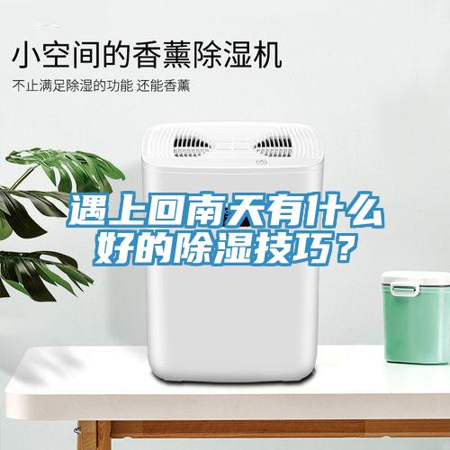 遇上回南天有什麽好的除濕技巧？