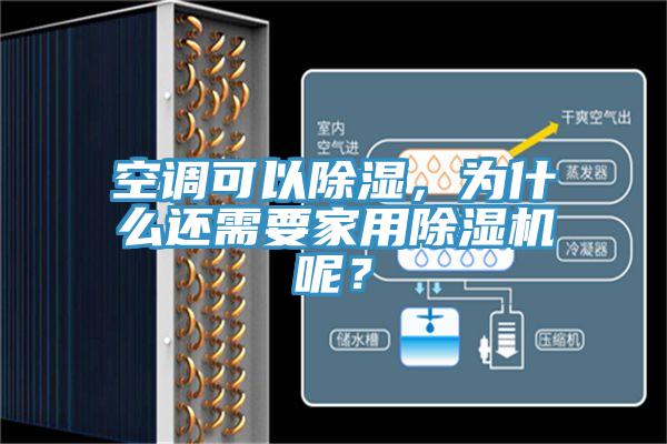 空調可以除濕，為什麽還需要家用杏仁视频APP成人官方污呢？