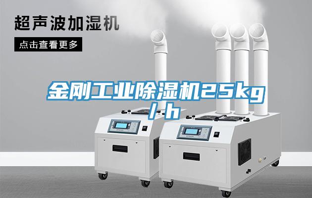 金剛工業杏仁视频APP成人官方污25kg／h