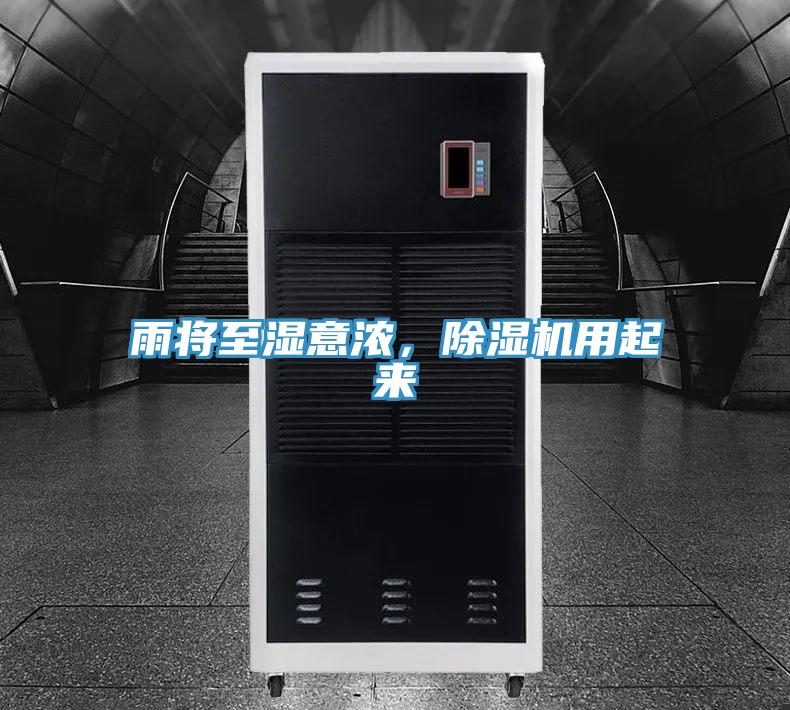 雨將至濕意濃，杏仁视频APP成人官方污用起來