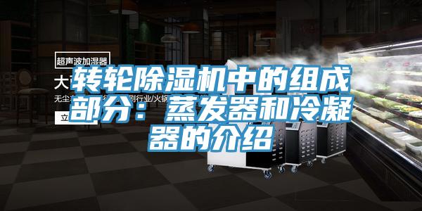 轉輪杏仁视频APP成人官方污中的組成部分：蒸發器和冷凝器的介紹