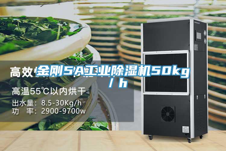 金剛5A工業杏仁视频APP成人官方污50kg／h