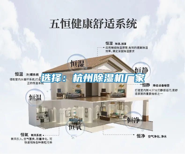 選擇：杭州杏仁视频APP成人官方污廠家